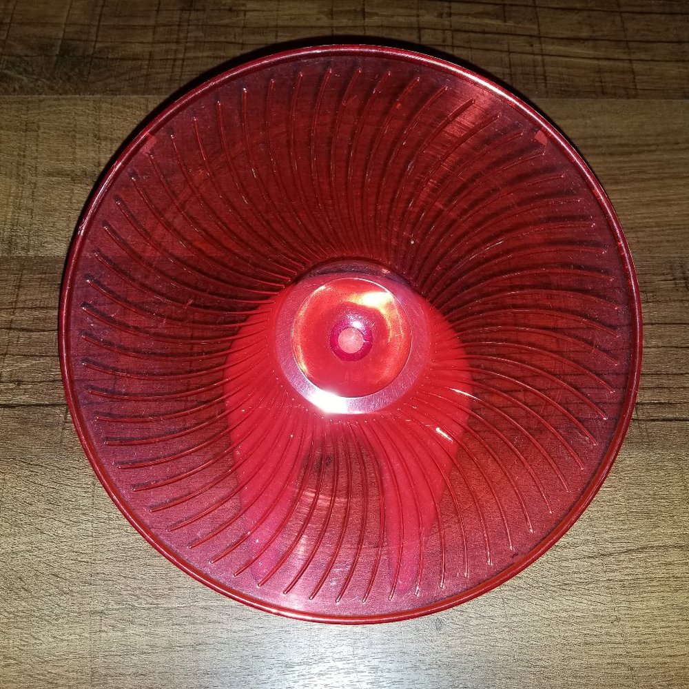 Syrian Hamster 12 Inch Saucer